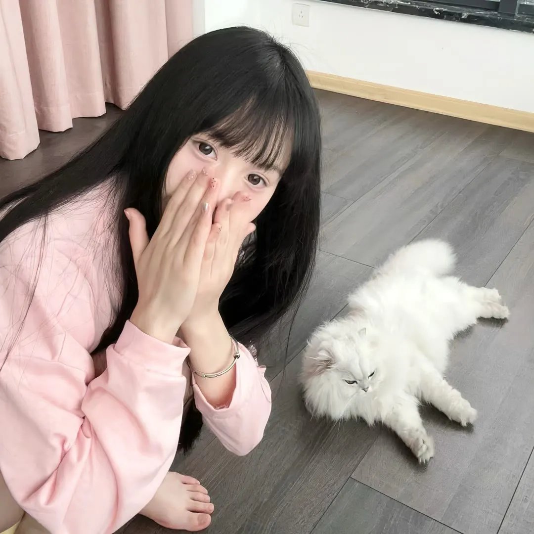 主妇的战争